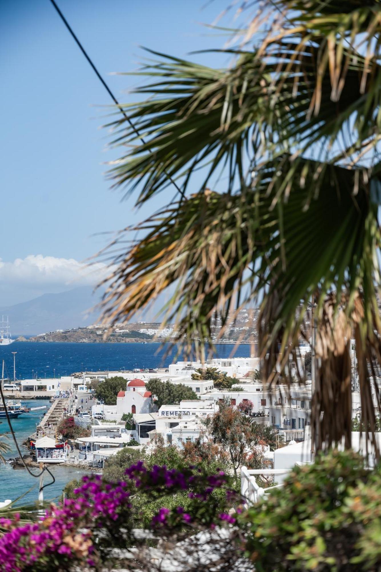 Rania Apartments Sea View Mykonos Town Екстериор снимка