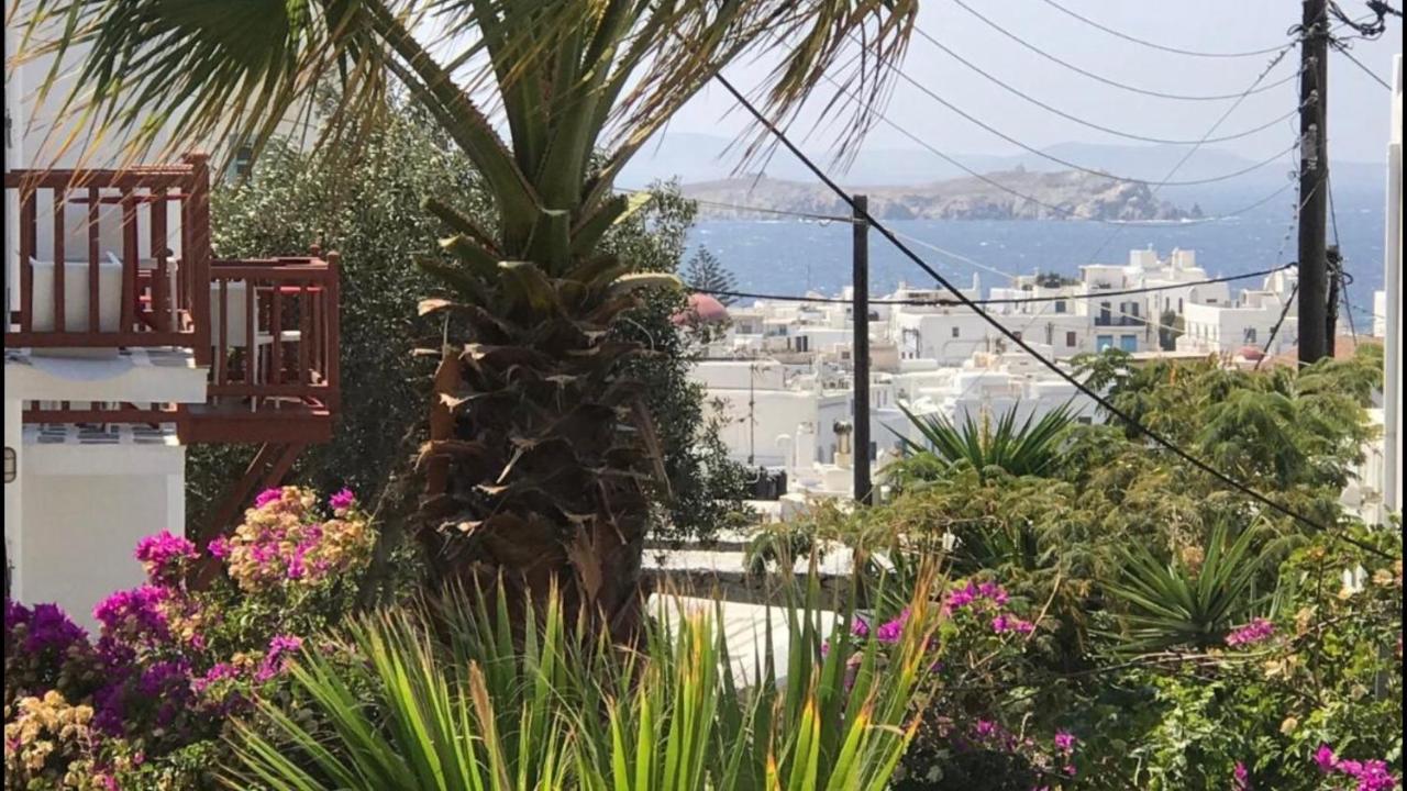 Rania Apartments Sea View Mykonos Town Екстериор снимка