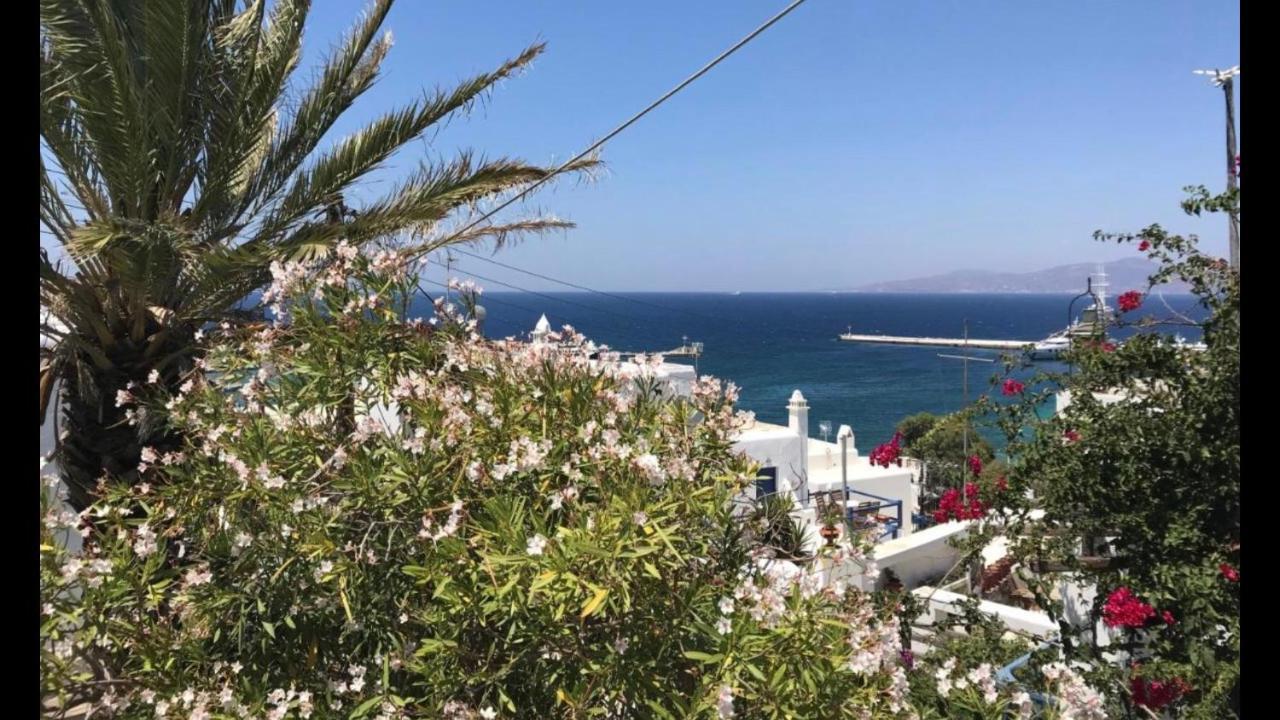 Rania Apartments Sea View Mykonos Town Екстериор снимка